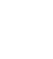 Icon Plan